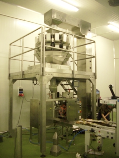 35. Linia do pakowania grzybów mrożonych | Line for packing frozen mushrooms